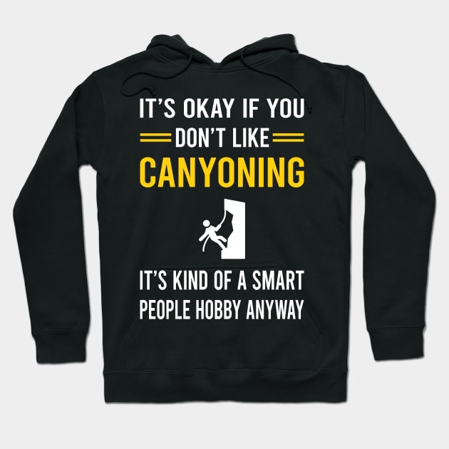 Smart People Hobby Canyoning Canyon Canyoneering Hoodie by Bourguignon Aror